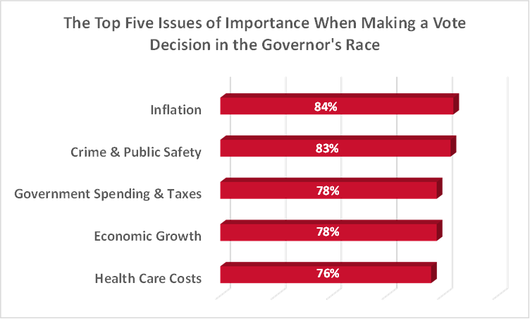 top-5 issues graph
